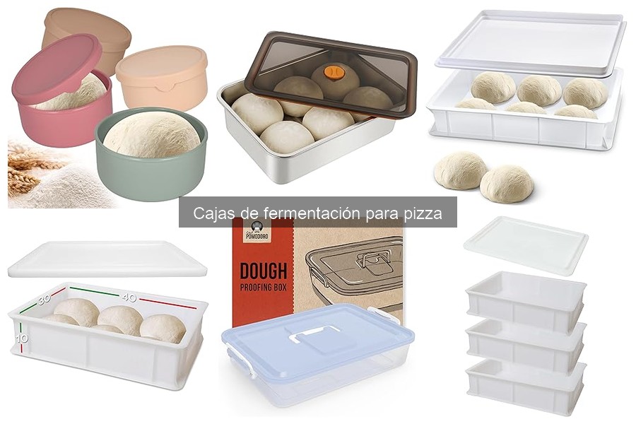 Dónde Comprar Cajas de Fermentación para Pizza y Precios
